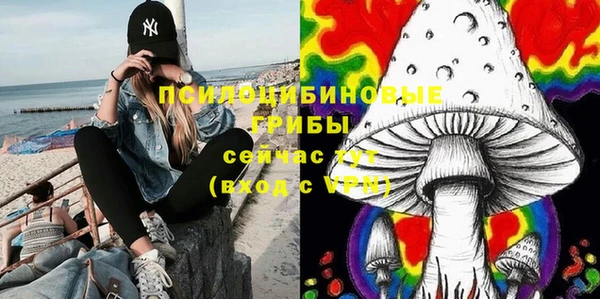 экстази Алексин