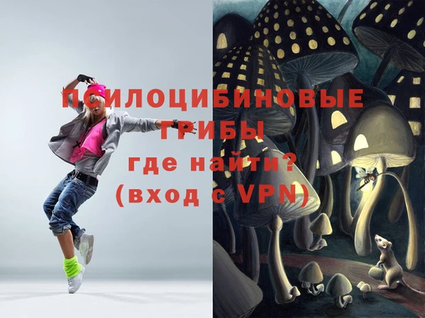 стаф Сосновка