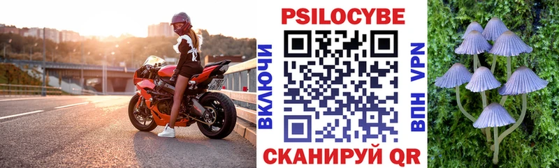 Псилоцибиновые грибы Magic Shrooms  Балтийск 