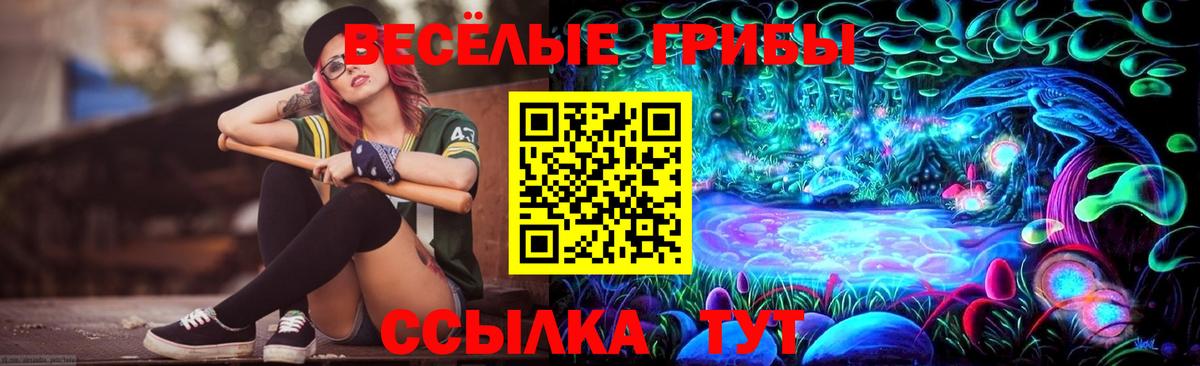 Галлюциногенные грибы ЛСД  Вход с VPN  Псилоцибиновые грибы Psilocybe  Балтийск 